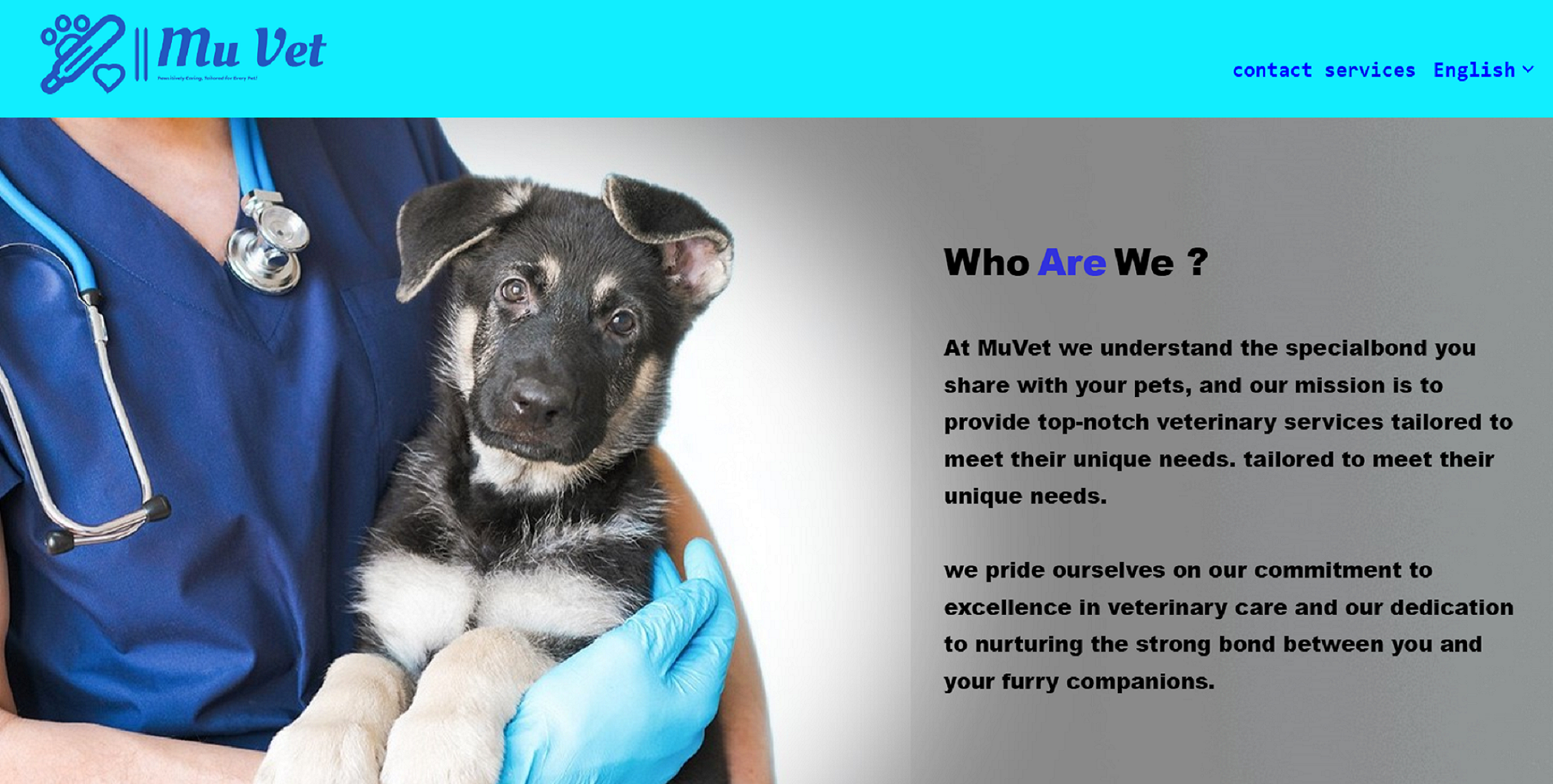 MuVet: clinic Management System